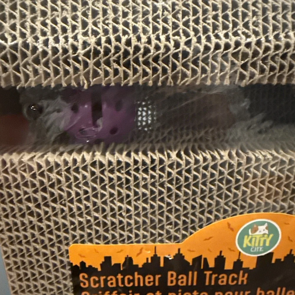 Kitty City Cat Scratcher Haunted Halloween RIP Coffin Casket Ball Track Catnip